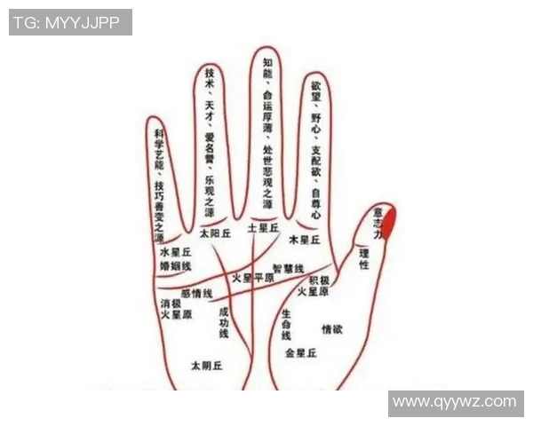 揭秘足球明星手相图解女性特征与命运解析 揭秘足球明星手相图解女性特征与命运解析